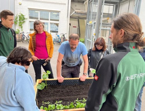 Gemeinsam Grün: Urban Gardening mit Refarm in der Südstadt